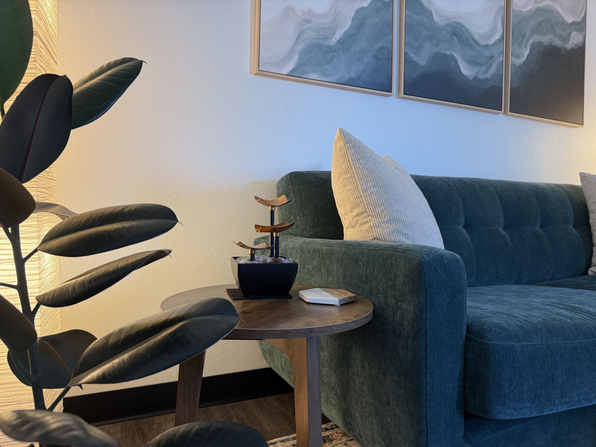 Vera McGrath therapy office in Carlsbad